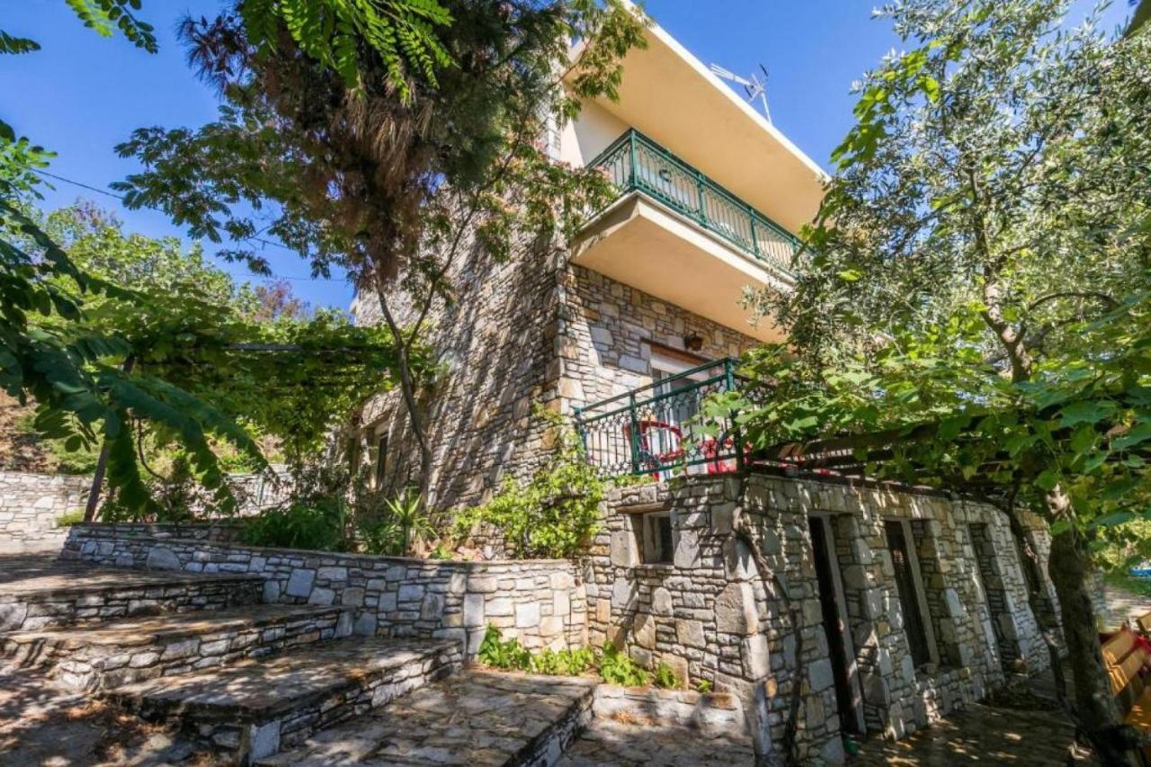 Petra Mare Apartments Alikí エクステリア 写真